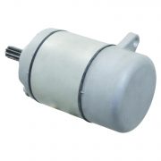 (1997-2014) TRX 250cc EX Sportrax