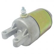 (2005-2008)  Eagle, Mountaineer Woodsman 300cc